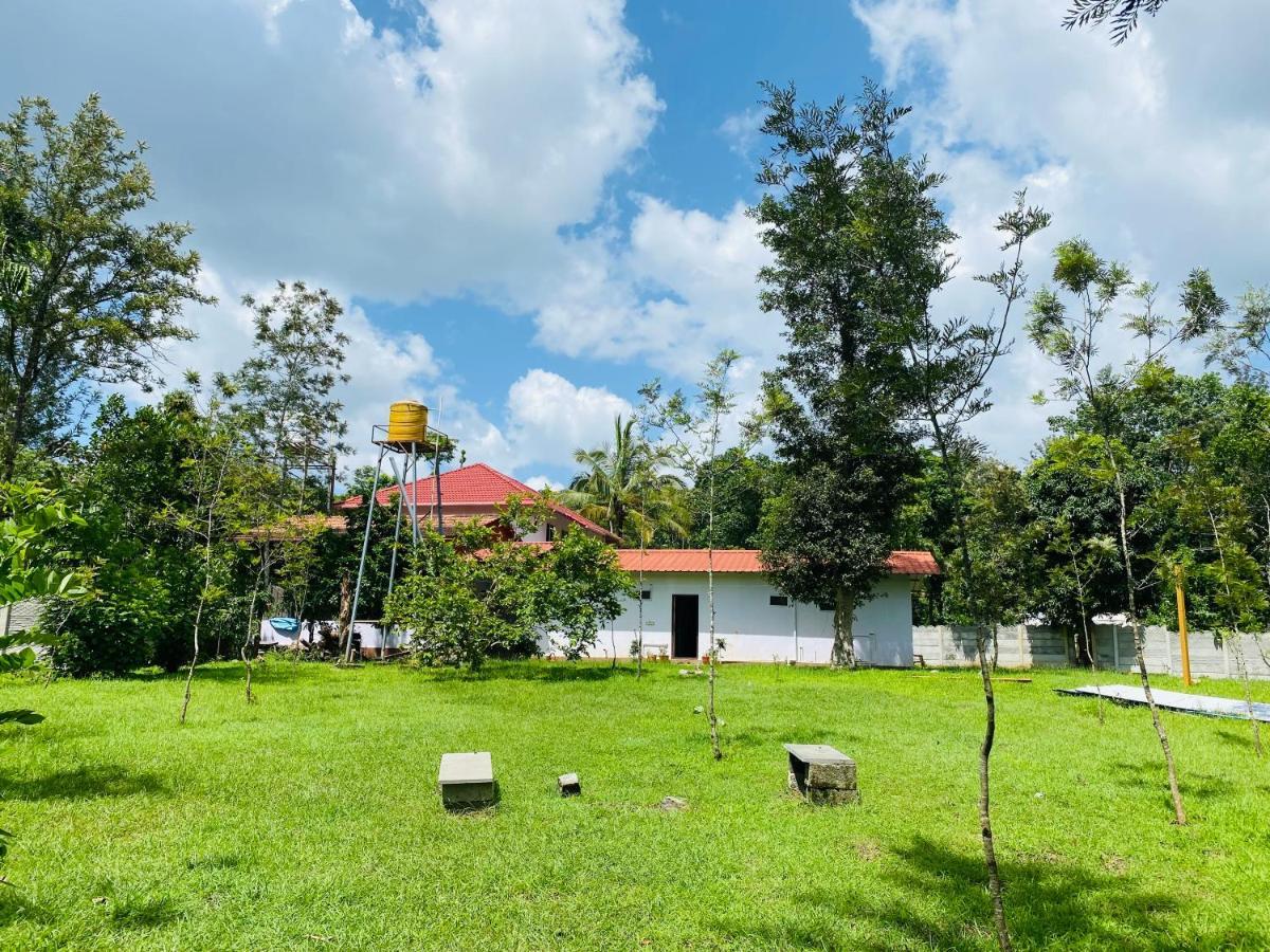 Greenhouse Homestay Siddapura  Exterior photo
